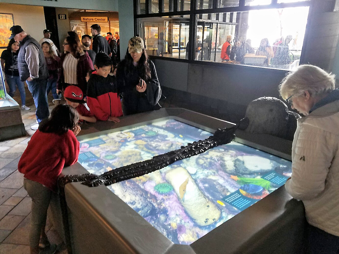 Patrons of the Monterrey Bay Aquarium enjoying the interactive touch pool.