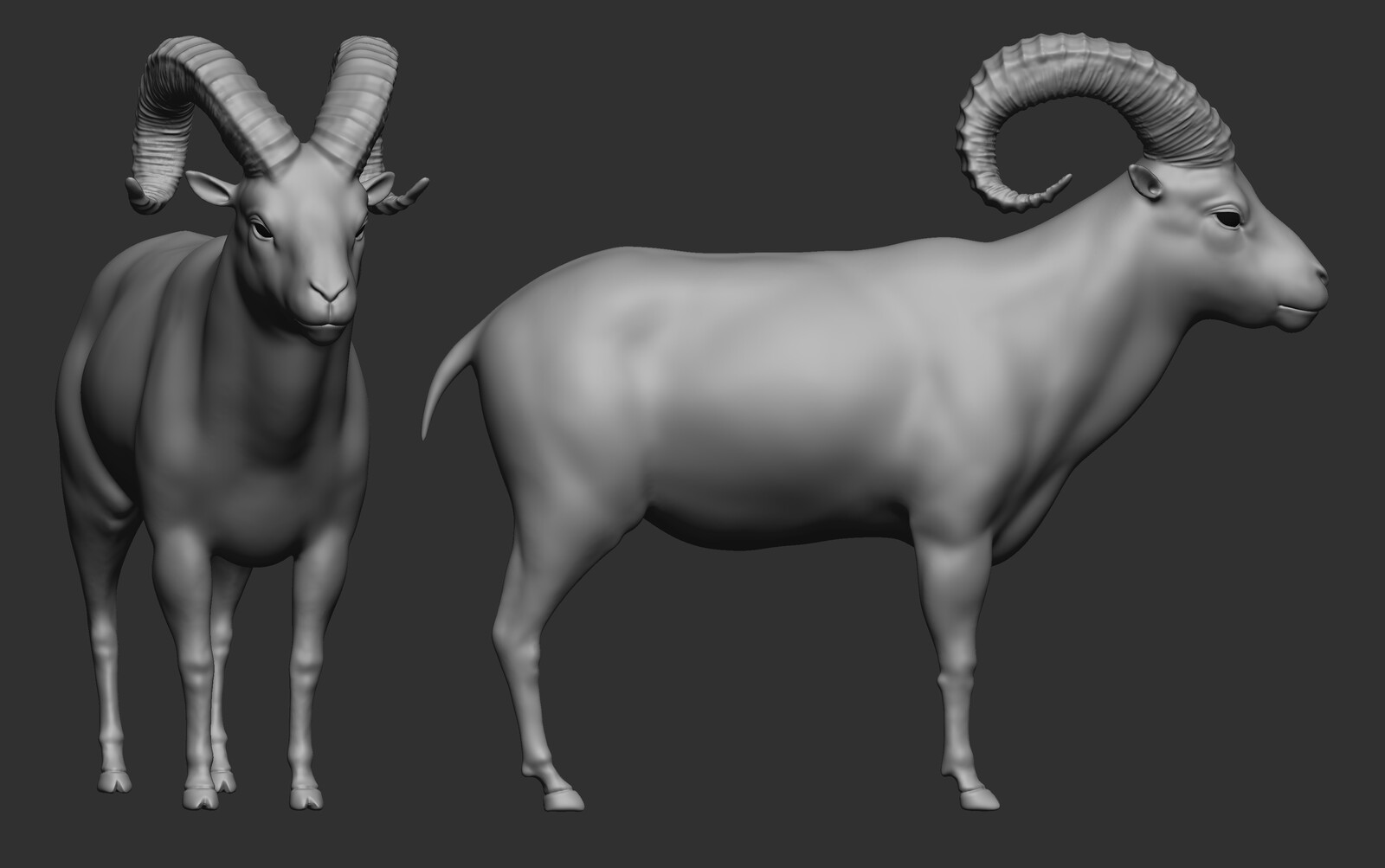 Ram