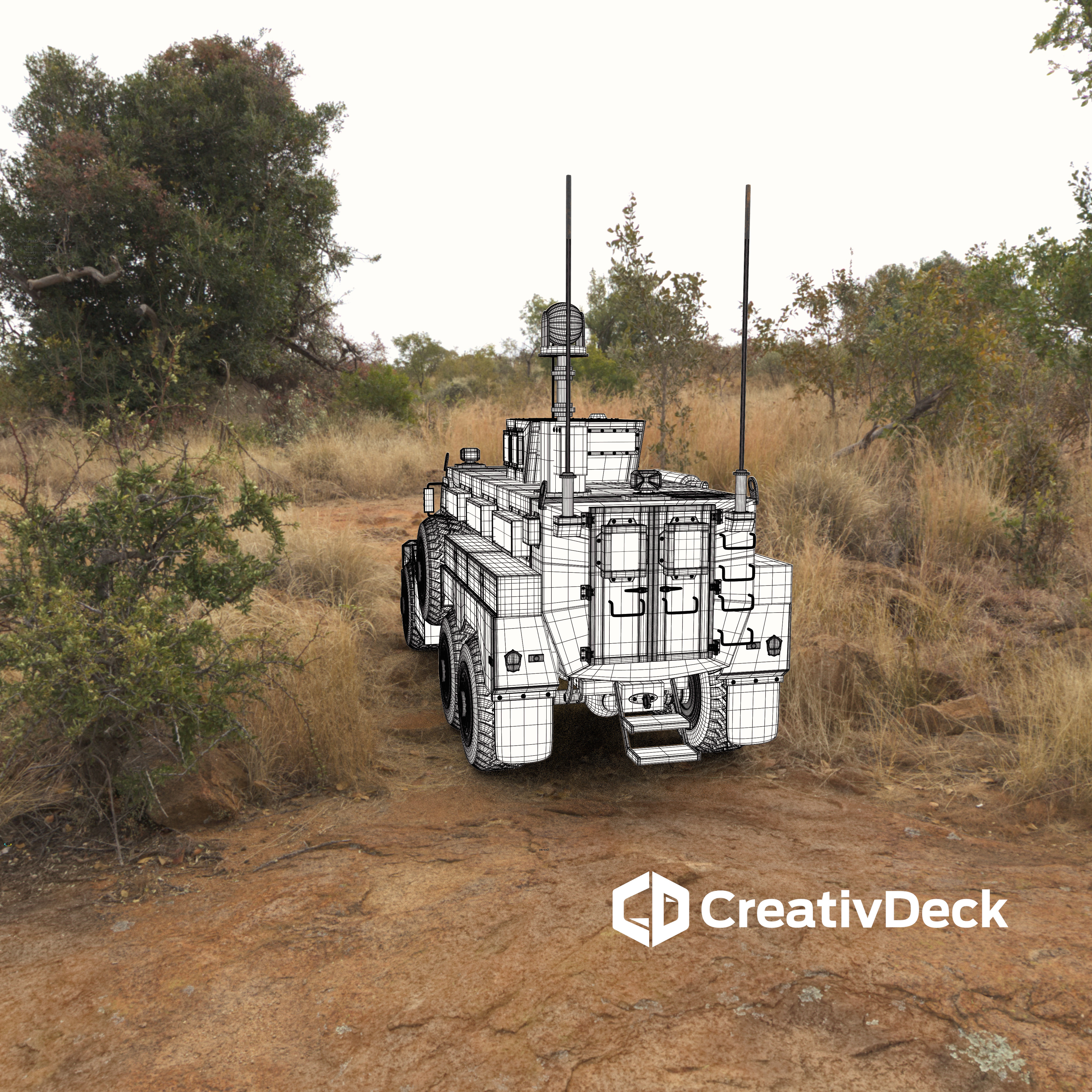 Cougar Back Wireframe