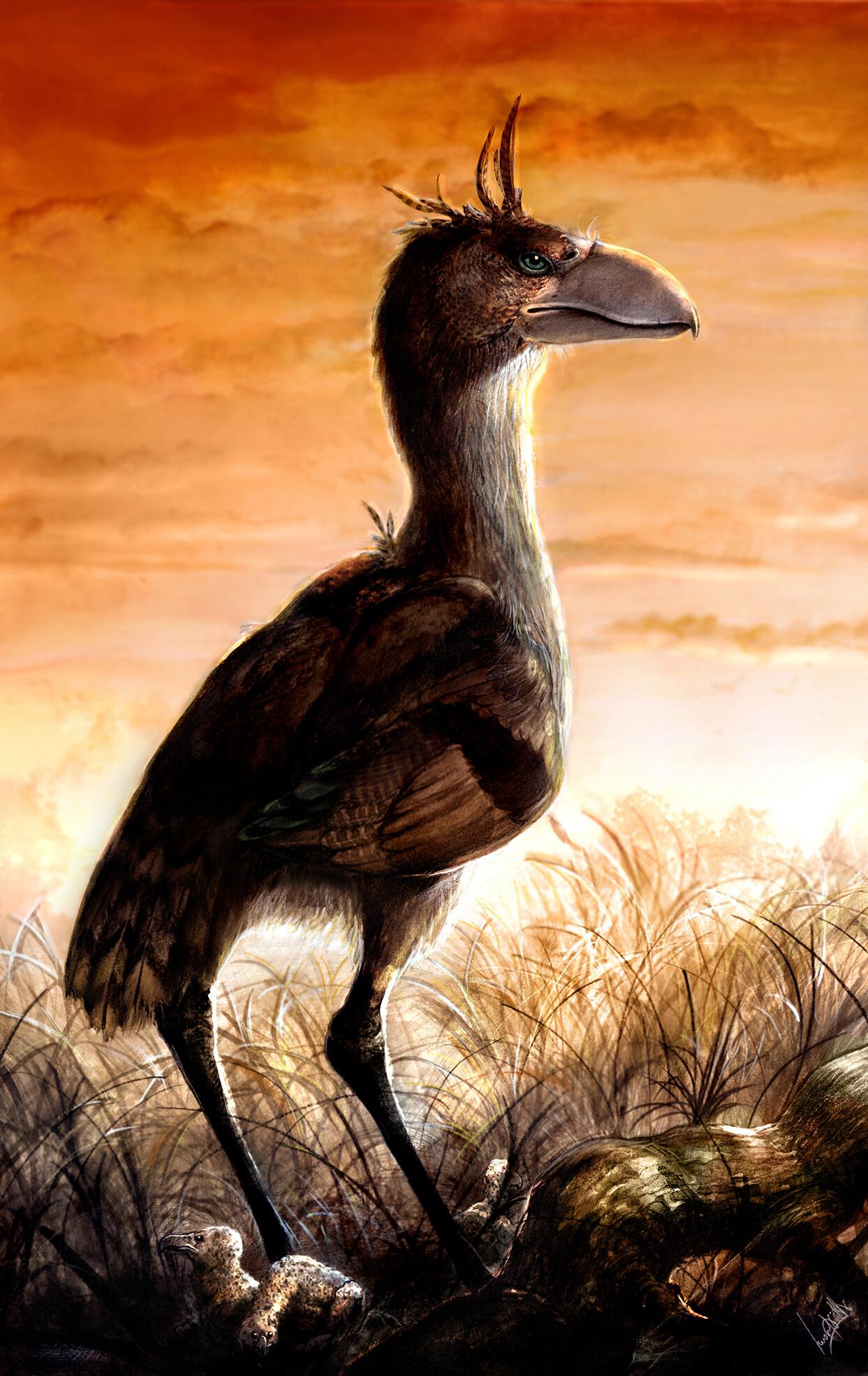 Птицы древних времен. Фороракос динозавр. Llallawavis scagliai. Титанис Гасторнис. Гасторнис птица вымершая.