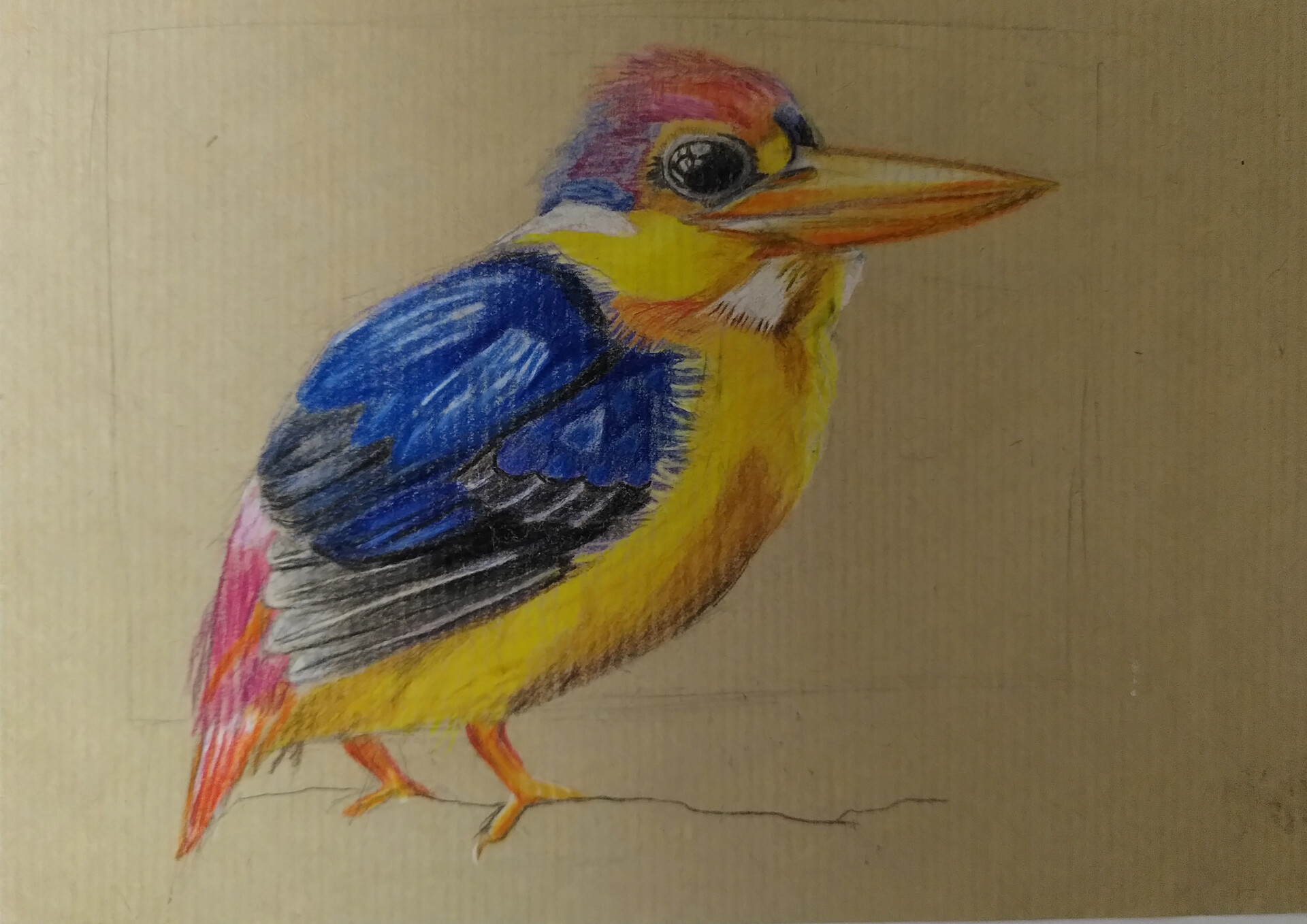 PRINTABLE Kingfisher Art Print Kingfisher Bird Pencil Drawing - Etsy  Singapore