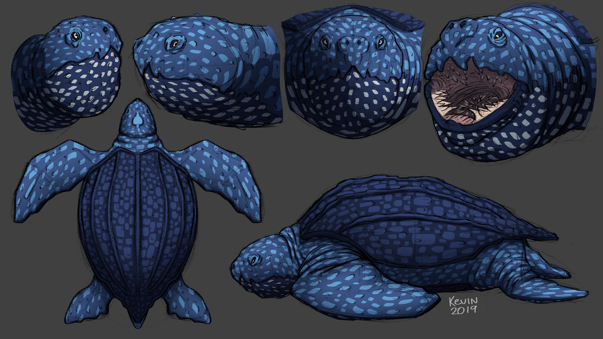 ArtStation Leatherback tutle study