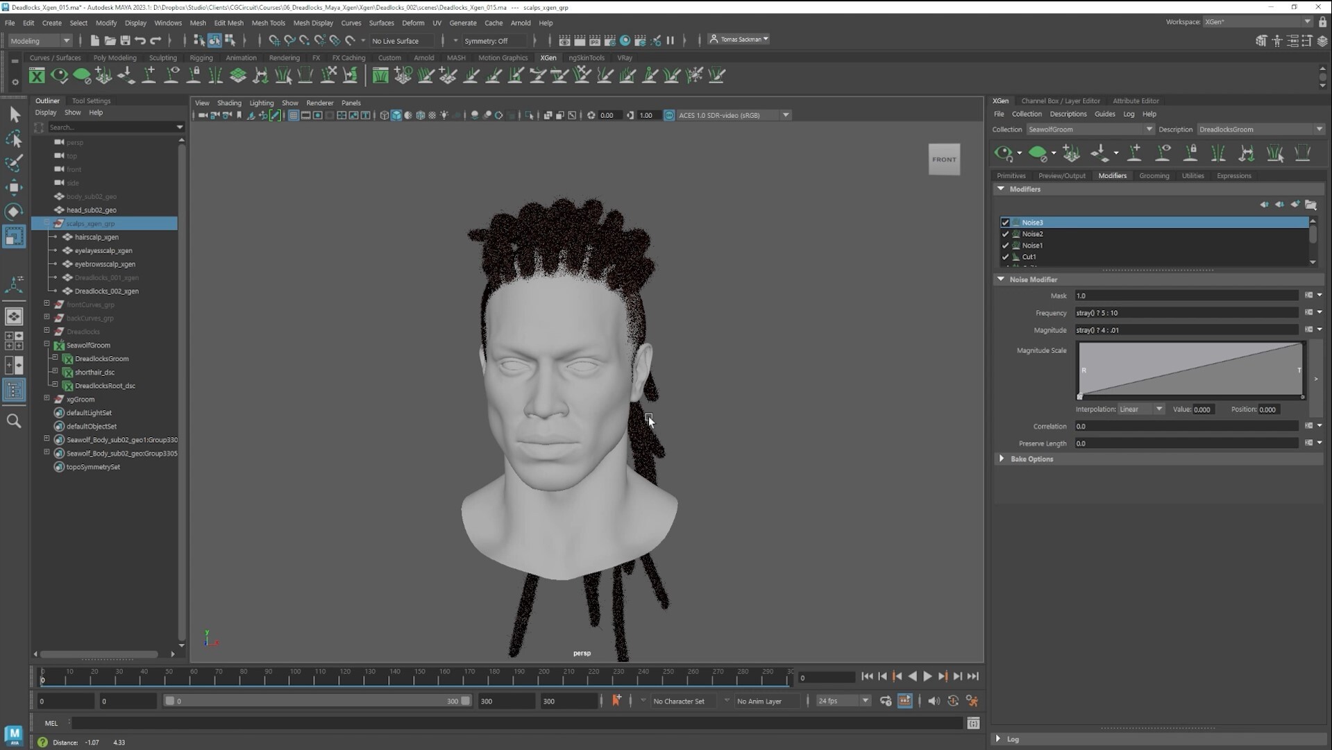 Tomas Sackmann - Realistic Dreadlocks in Xgen / Character Grooming Course