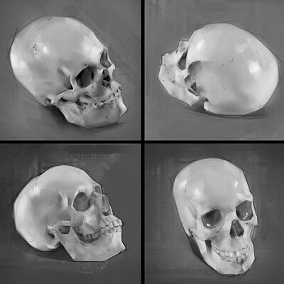 Aaron ward mar1 skulls