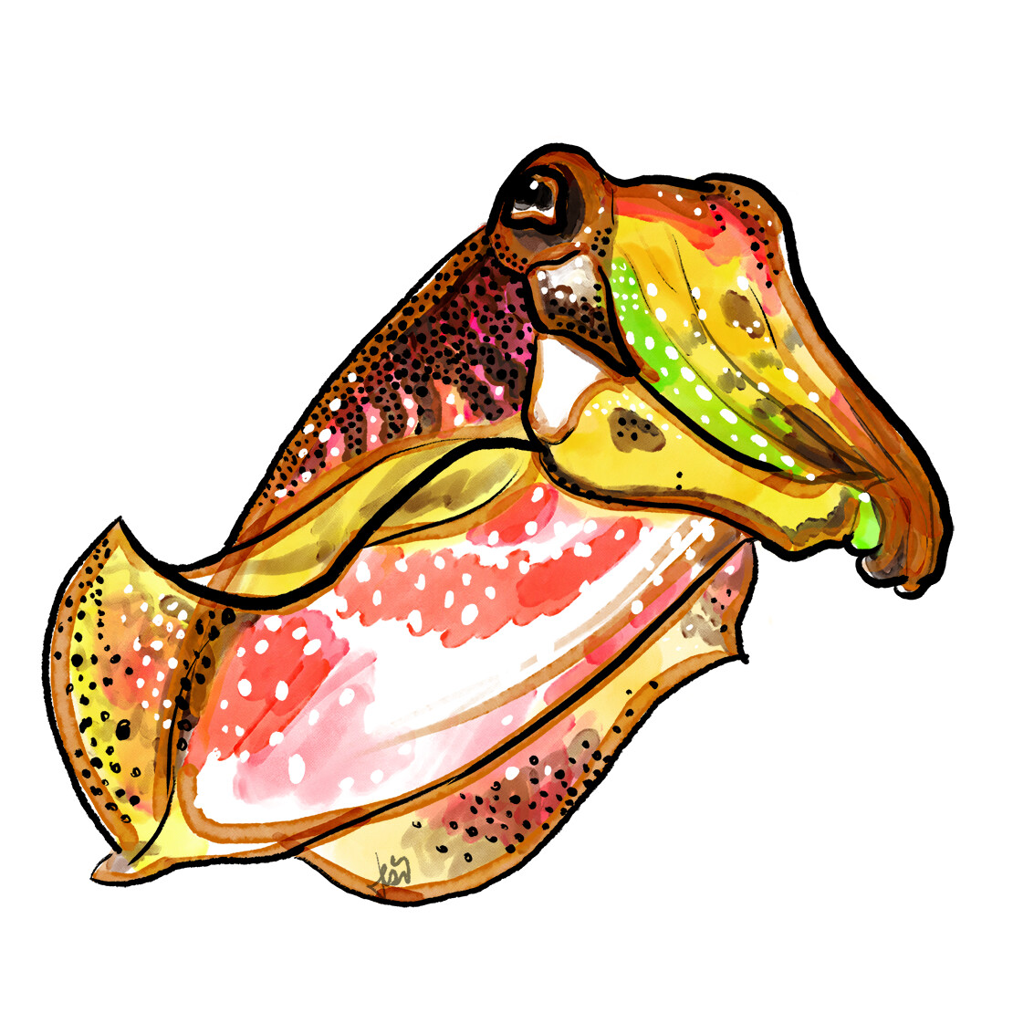 Jessica Hansen Cuttlefish Digital Print Product Samples jessica-hansen-cuttlefish-digital-print-product-samples