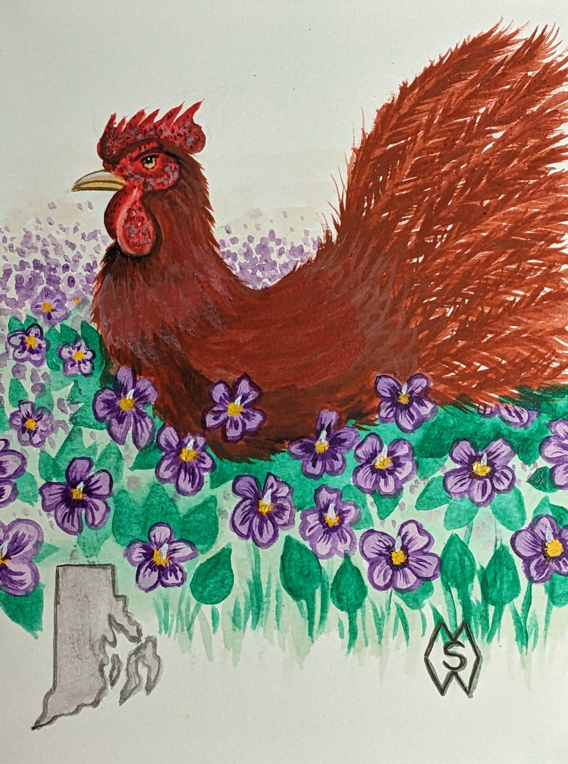 ArtStation - Rhode Island state bird and flower, the Rhode Island Red and  violet