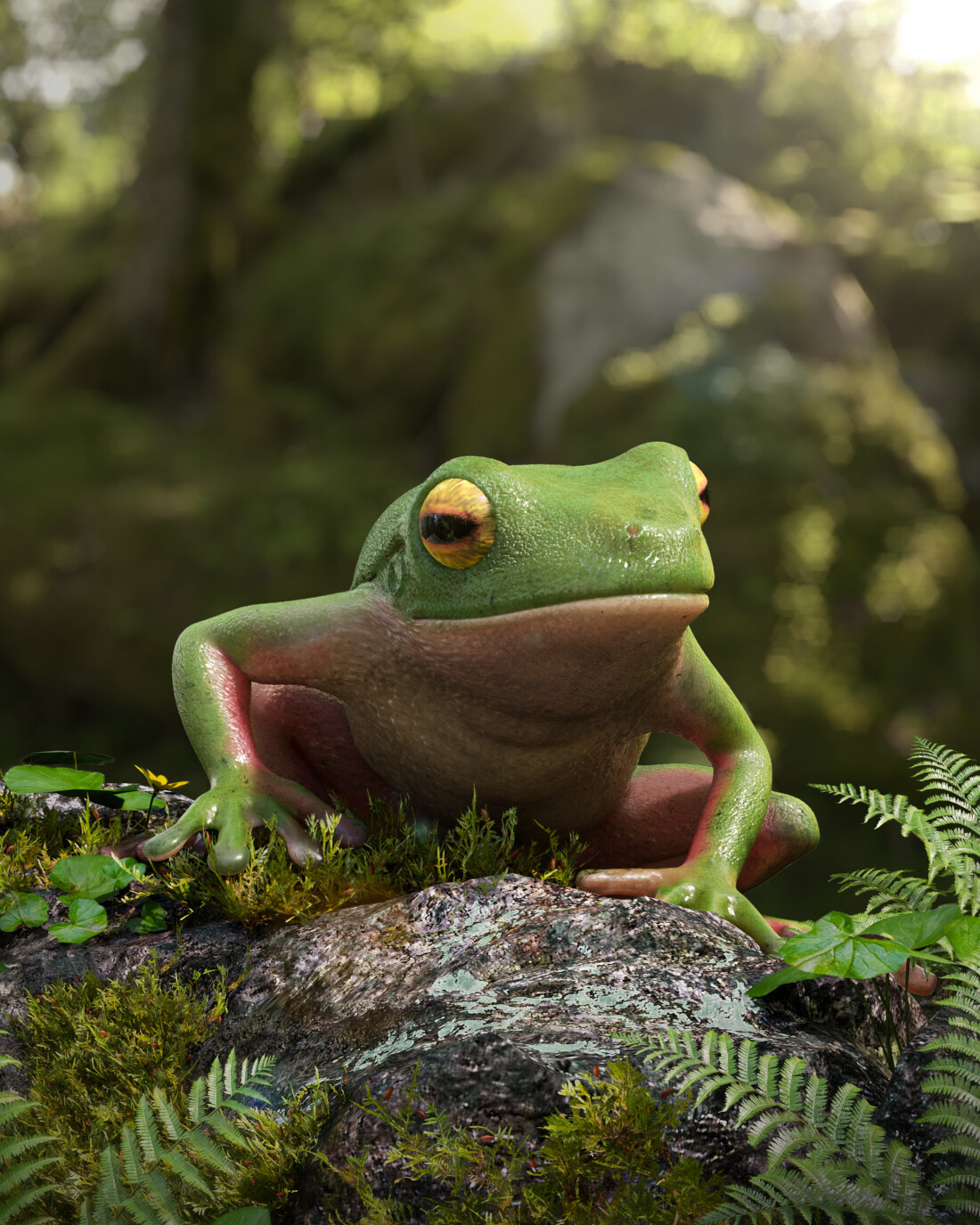 ArtStation - Tree Frog :)