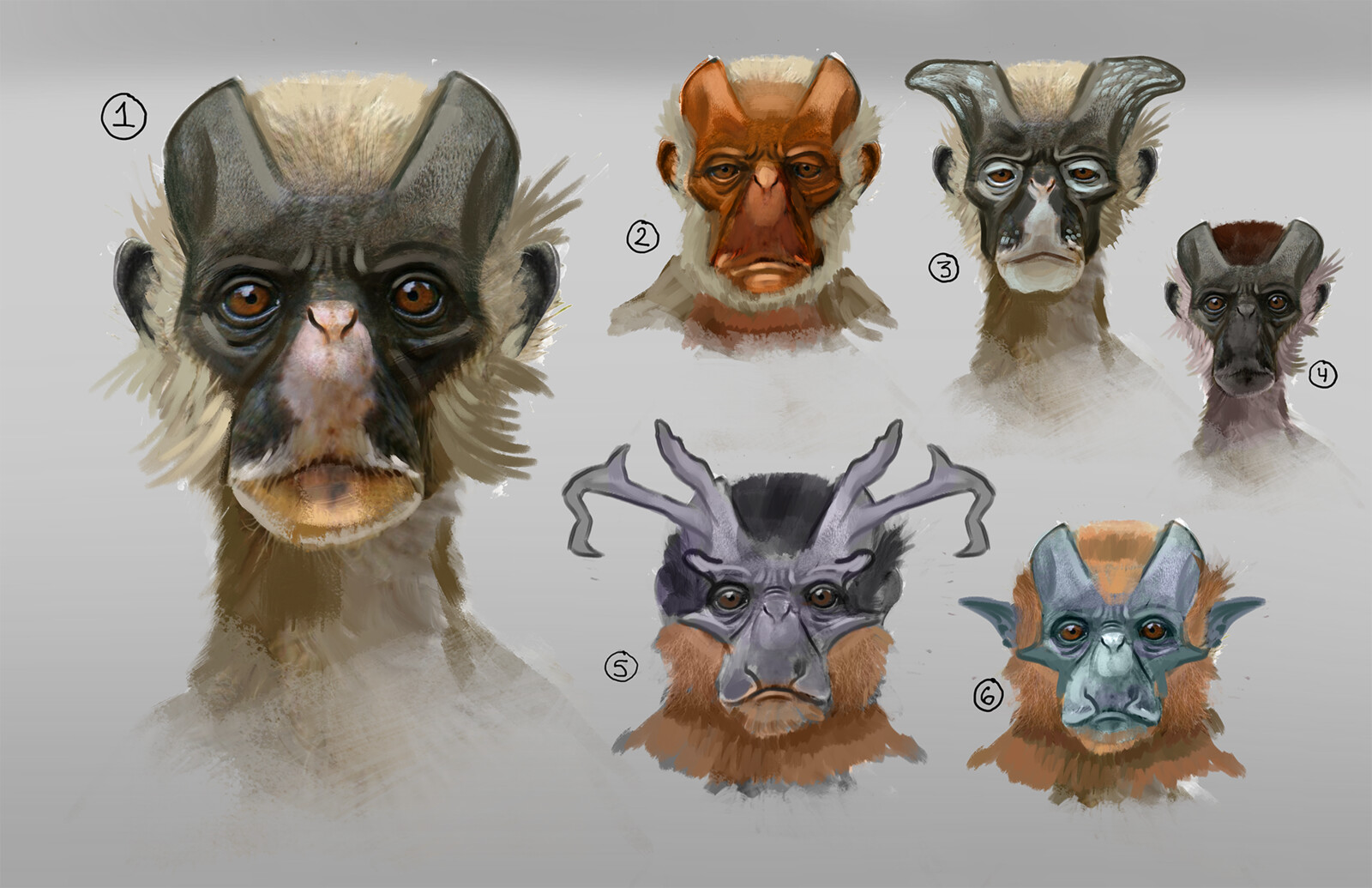 Head exploration