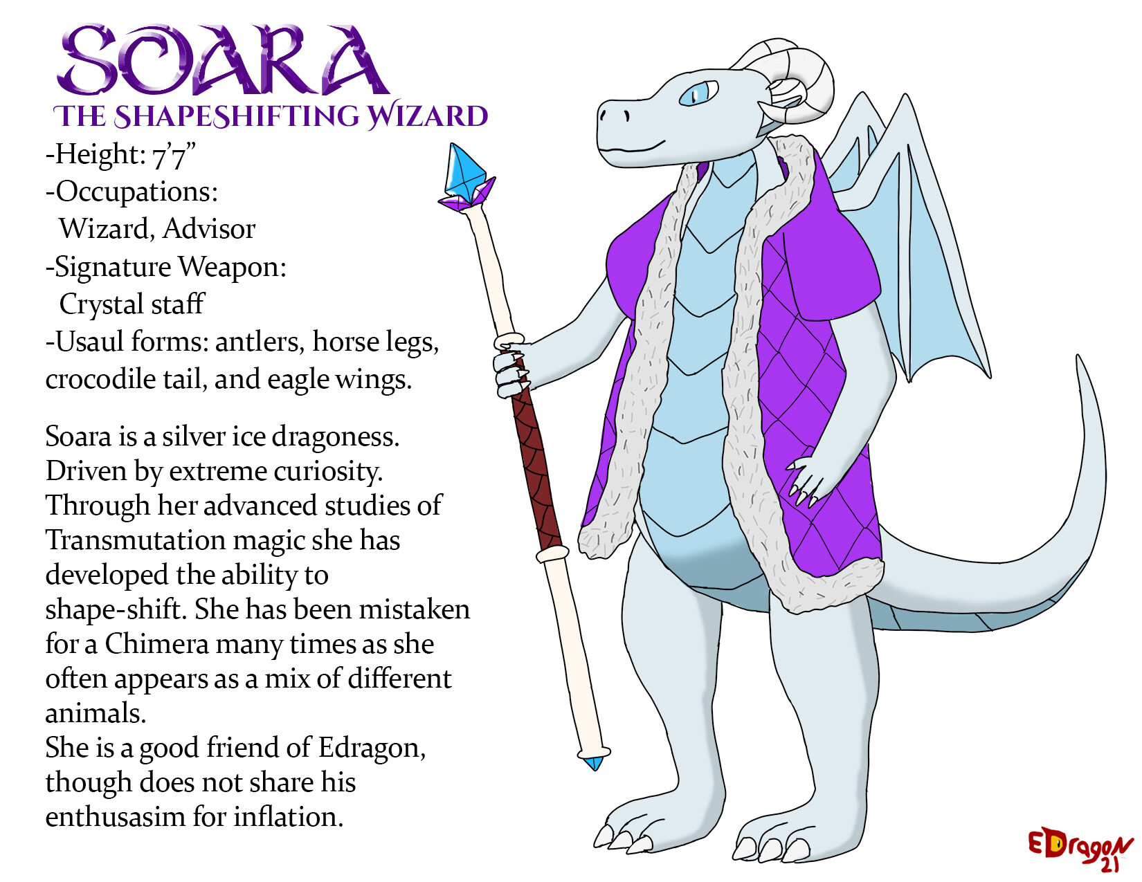 ArtStation - Soara the shapeshifting wizard