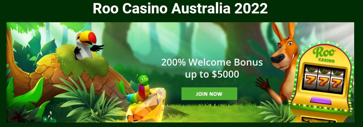 Roo Casino Gameplay