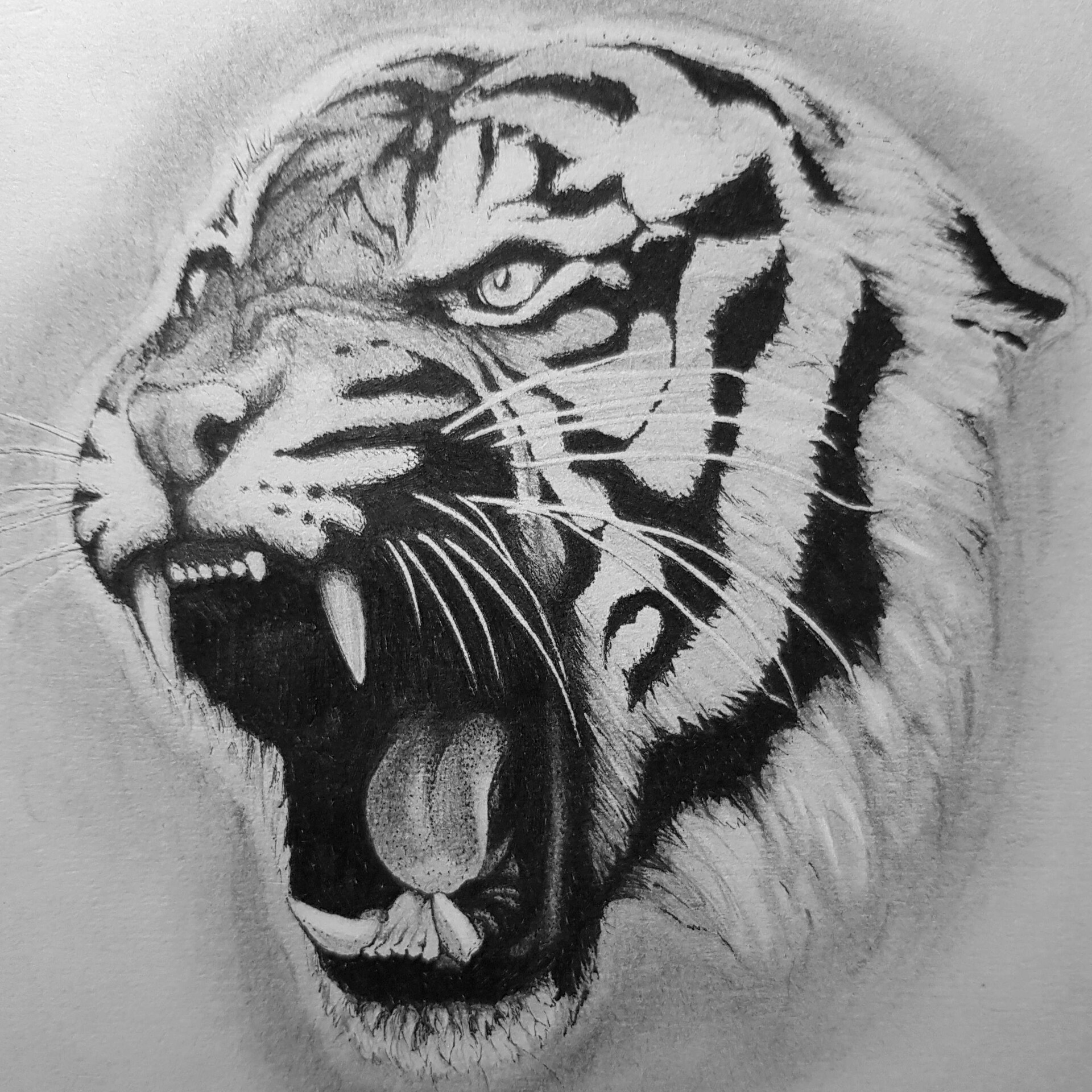 ArtStation - Tiger - realism practice