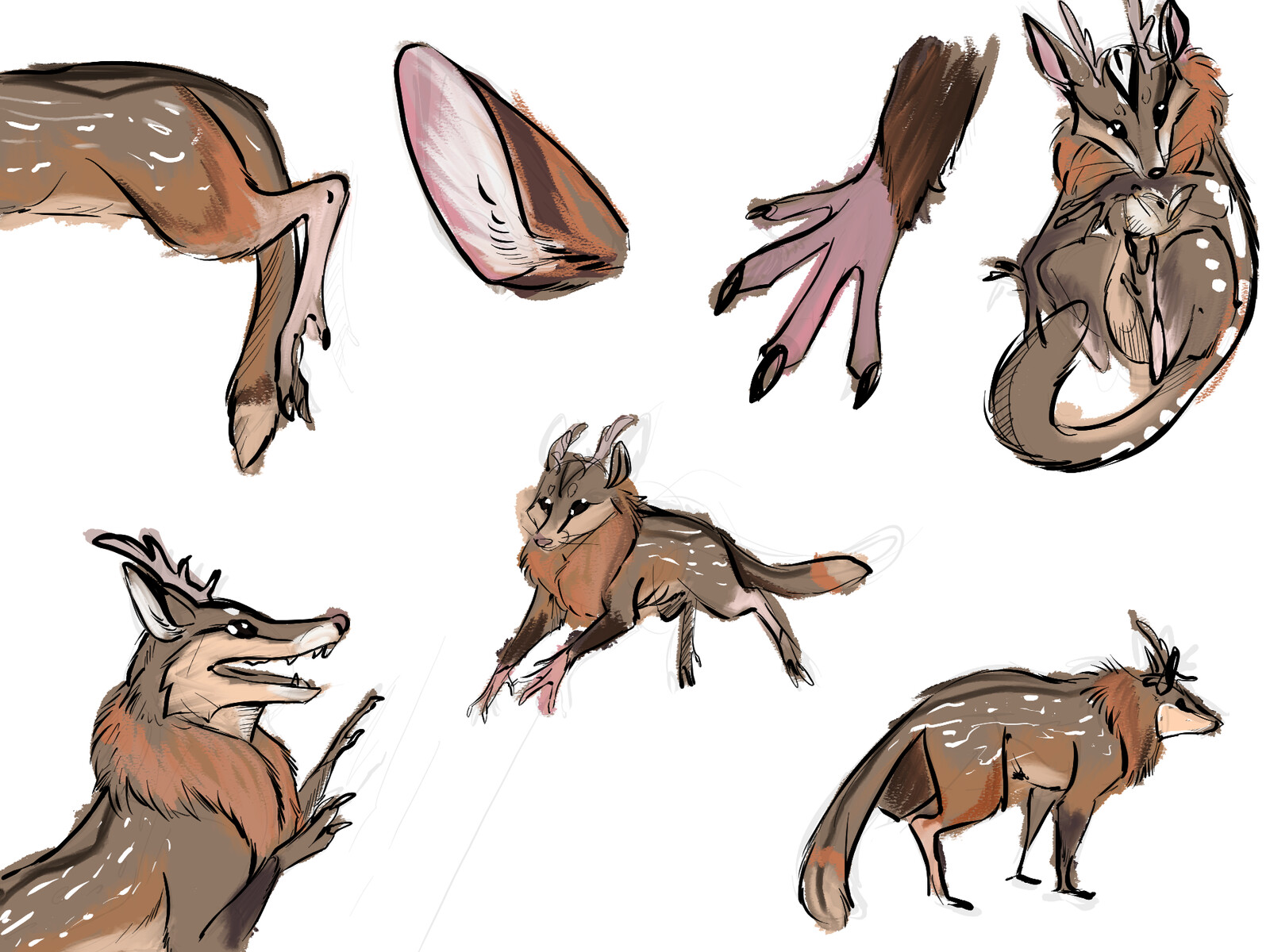 Poses d'actions