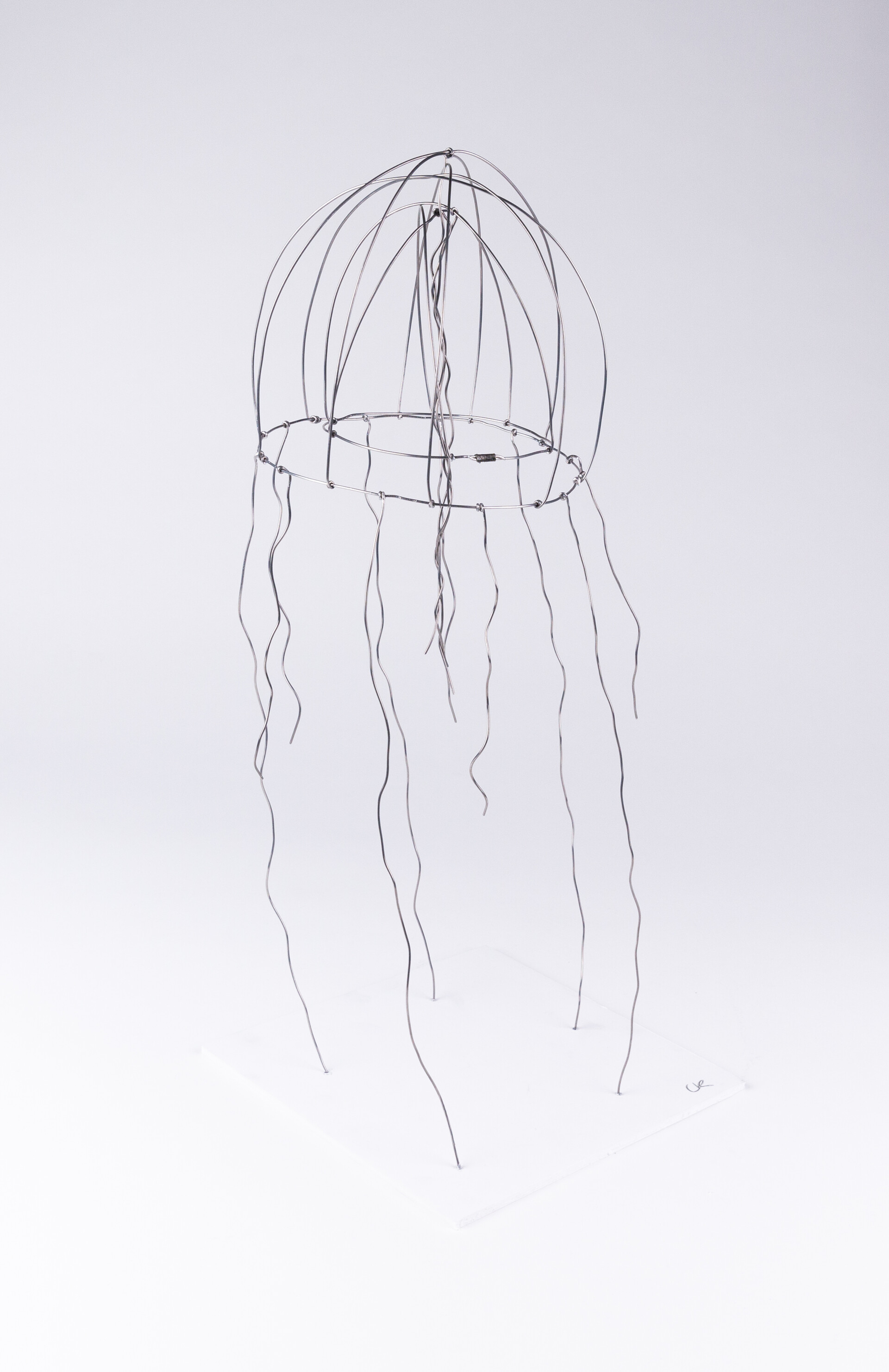 ArtStation Wire Jellyfish