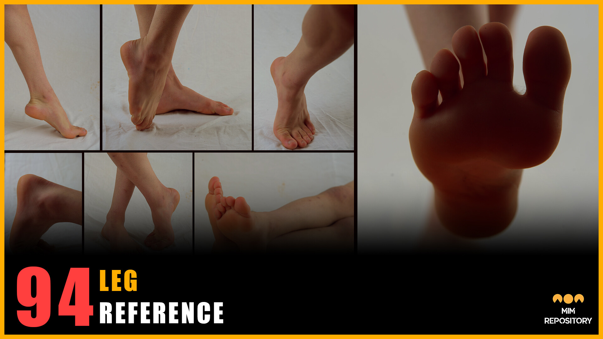 3D Assets Repository - 516 Male Anatomy Reference Images (Body Parts ...