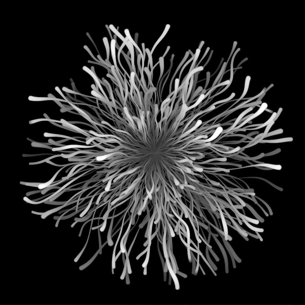 Fungus