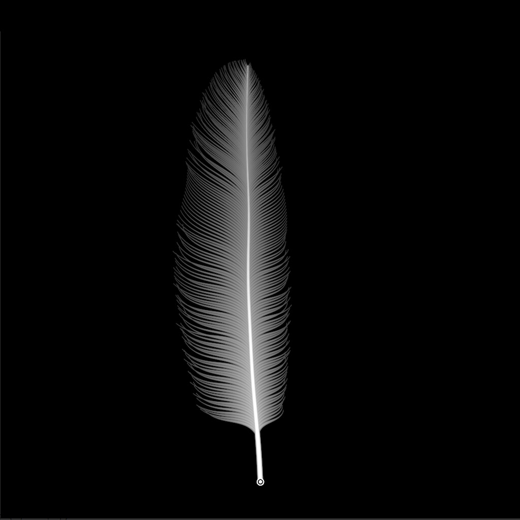 feather