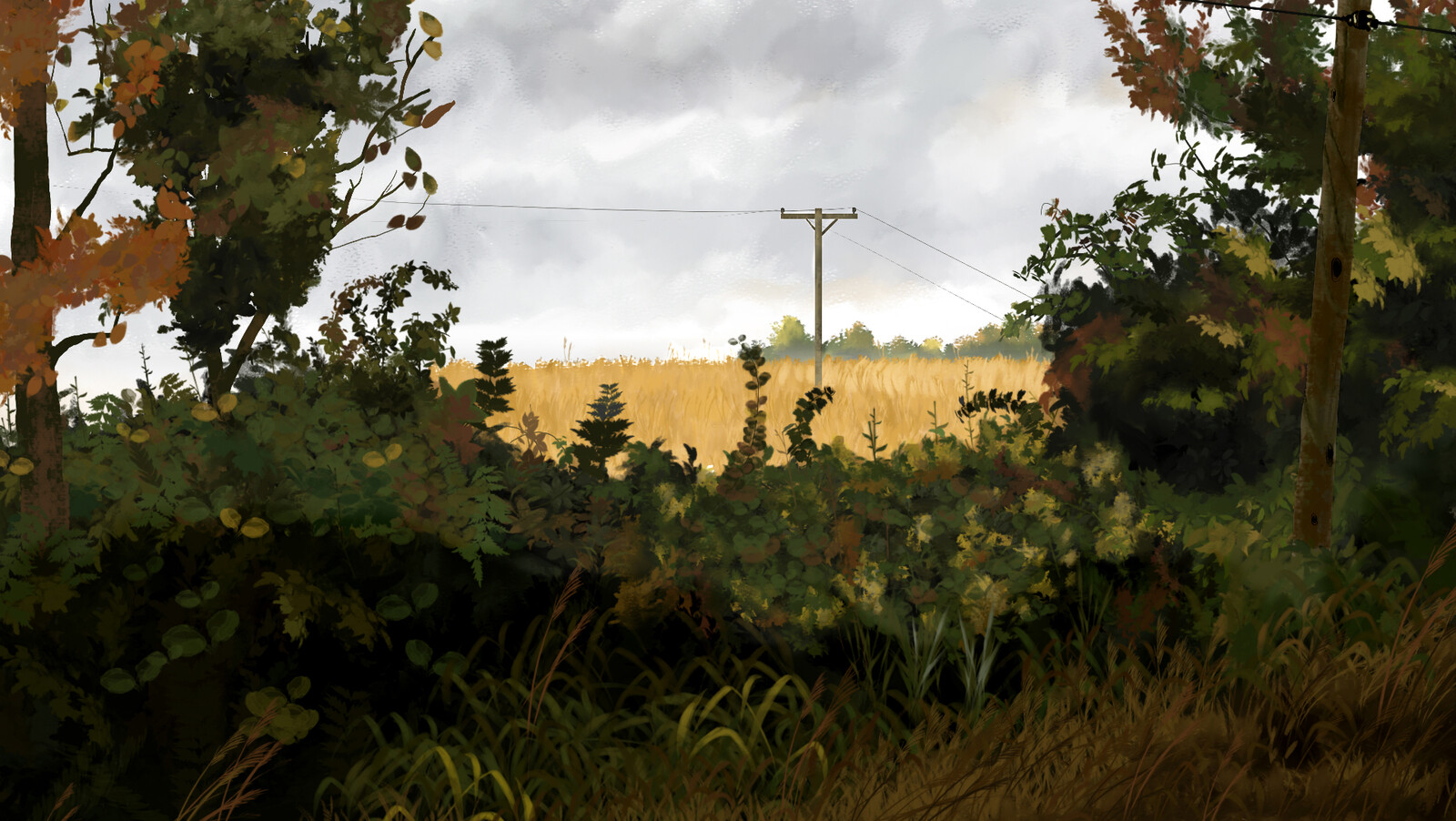 Woods Between - Background design
