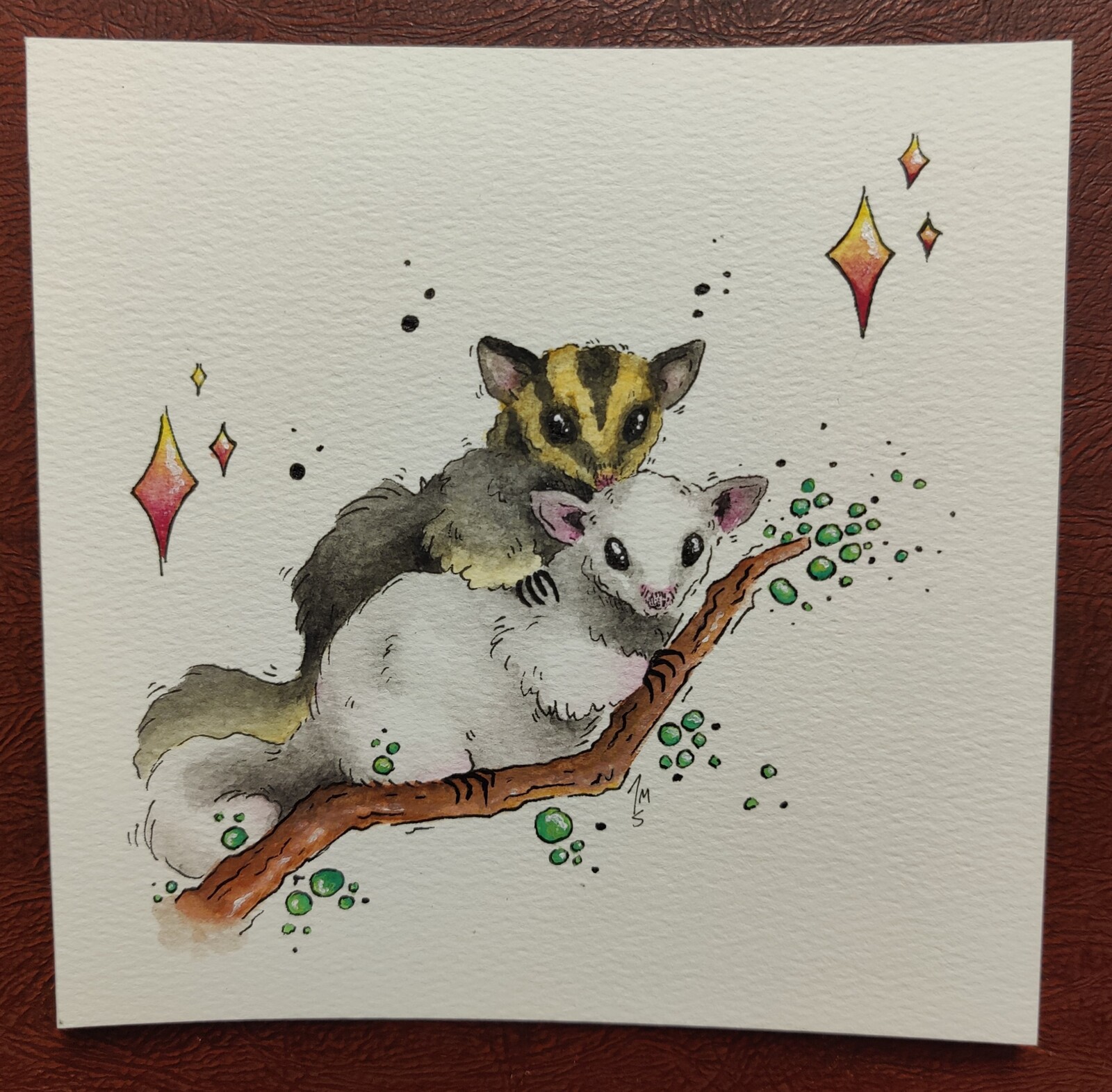 Two Sugargliders on a tree