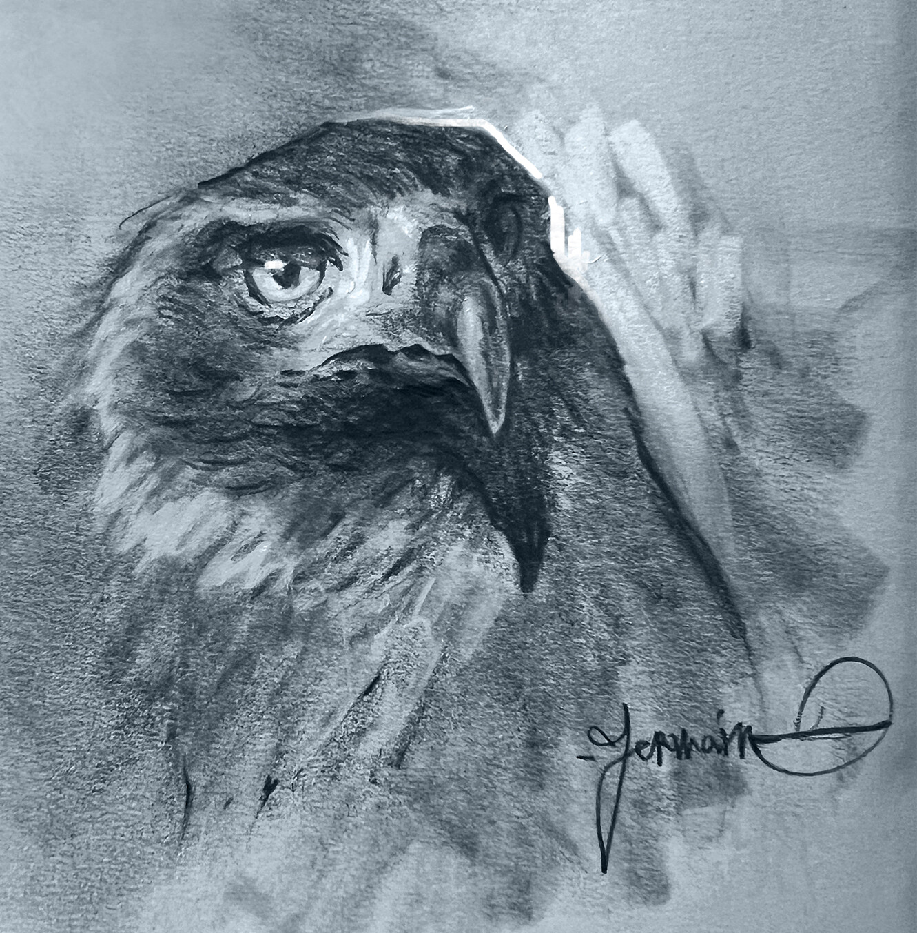Eastern Imperial Eagle