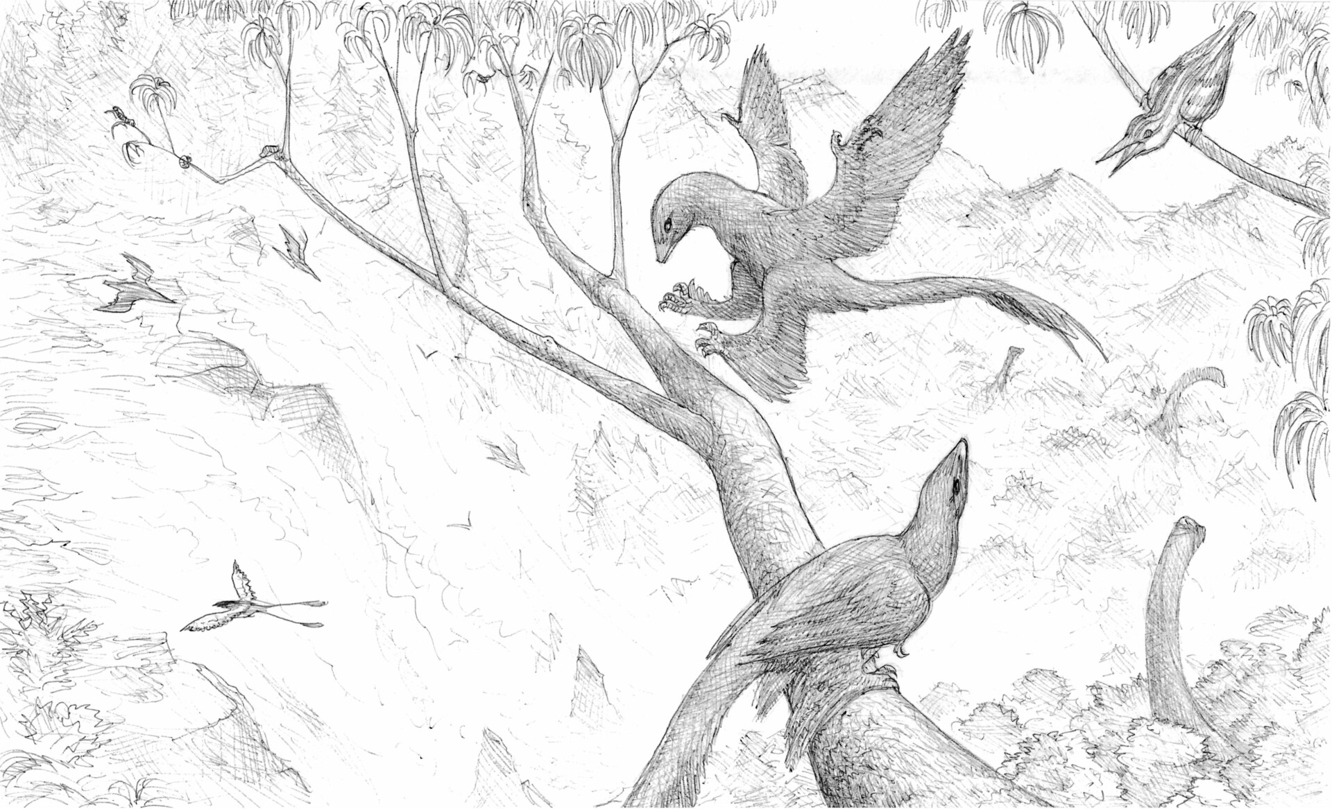 Arthur machabee early cretaceous jiufotang formation
