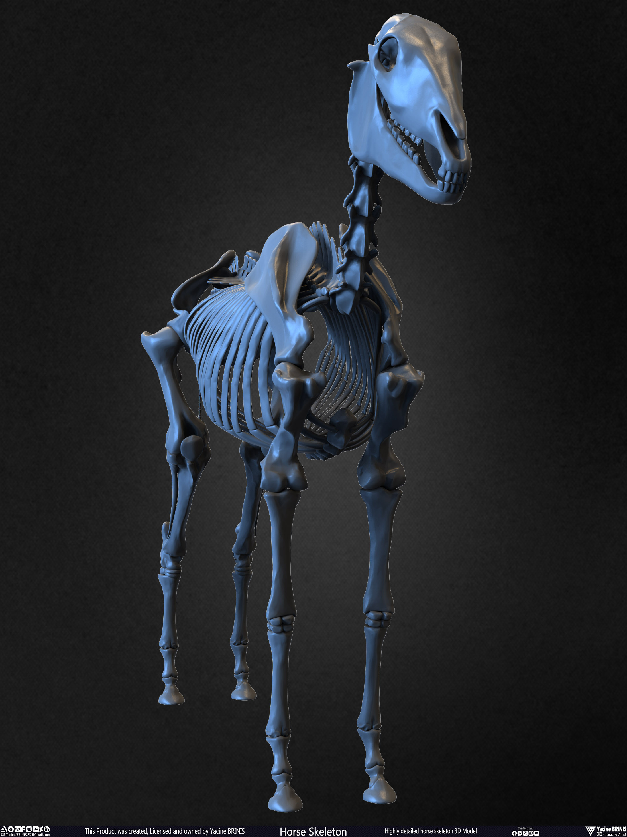 Highly Detailed Horse Skeleton 3D Model Sculpted by Yacine BRINIS Set 018