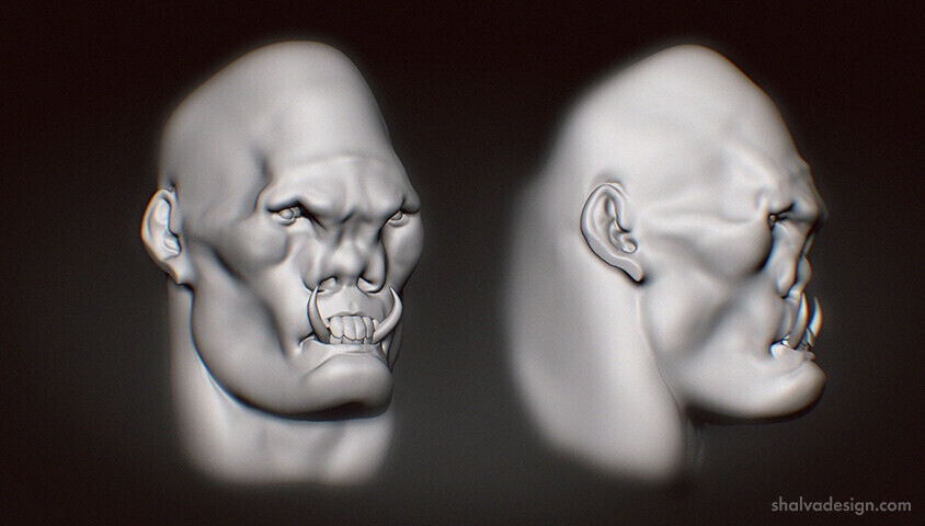 variant 1