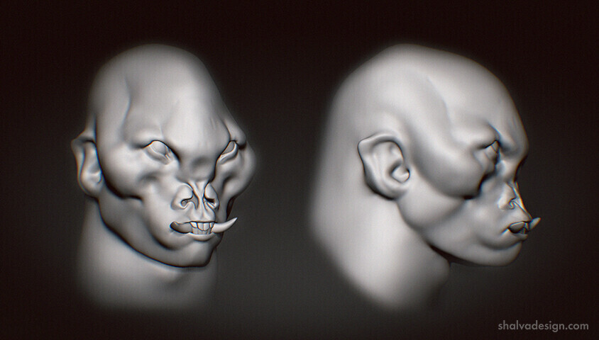 variant 2