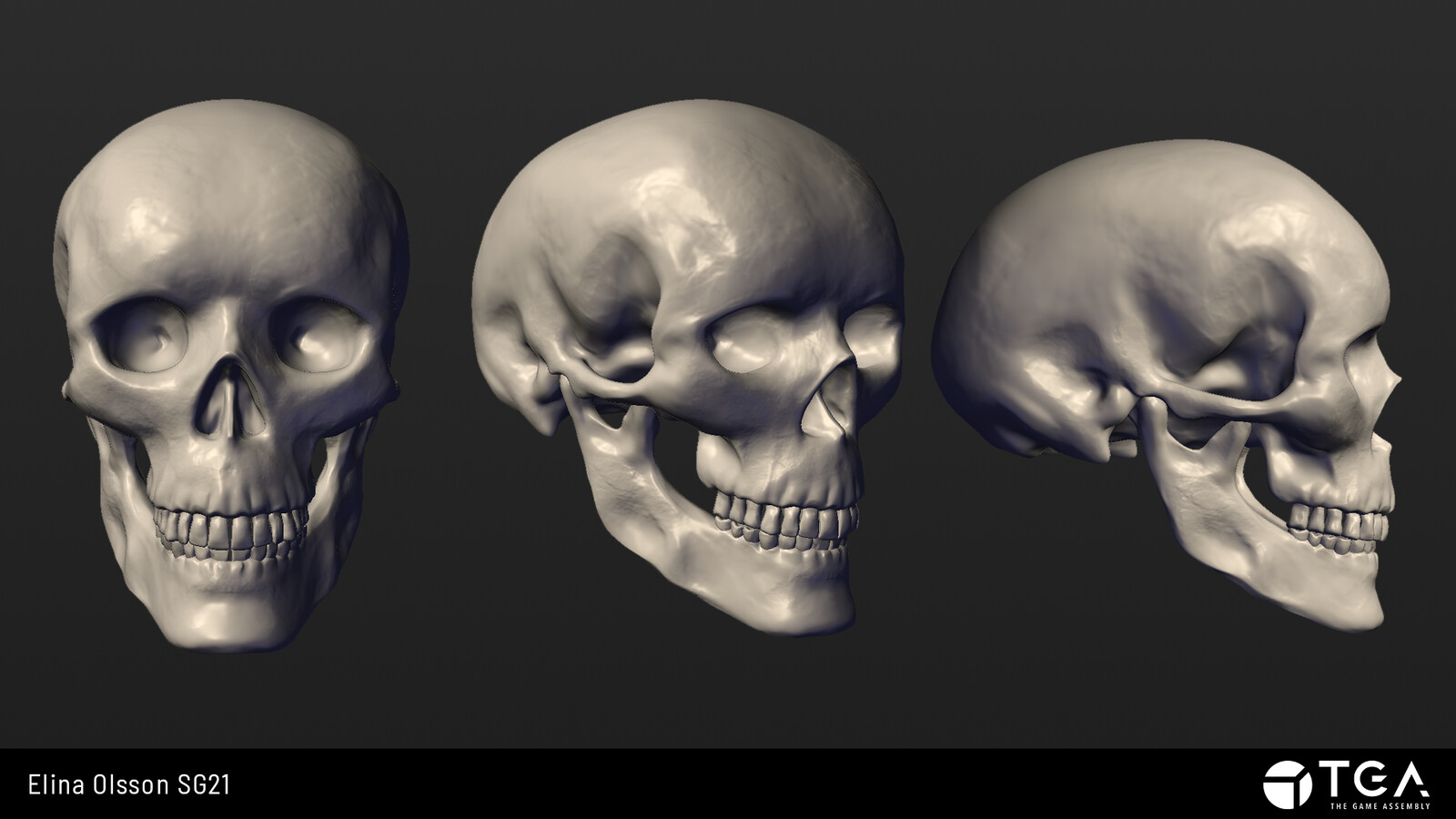 Skull Sculpt