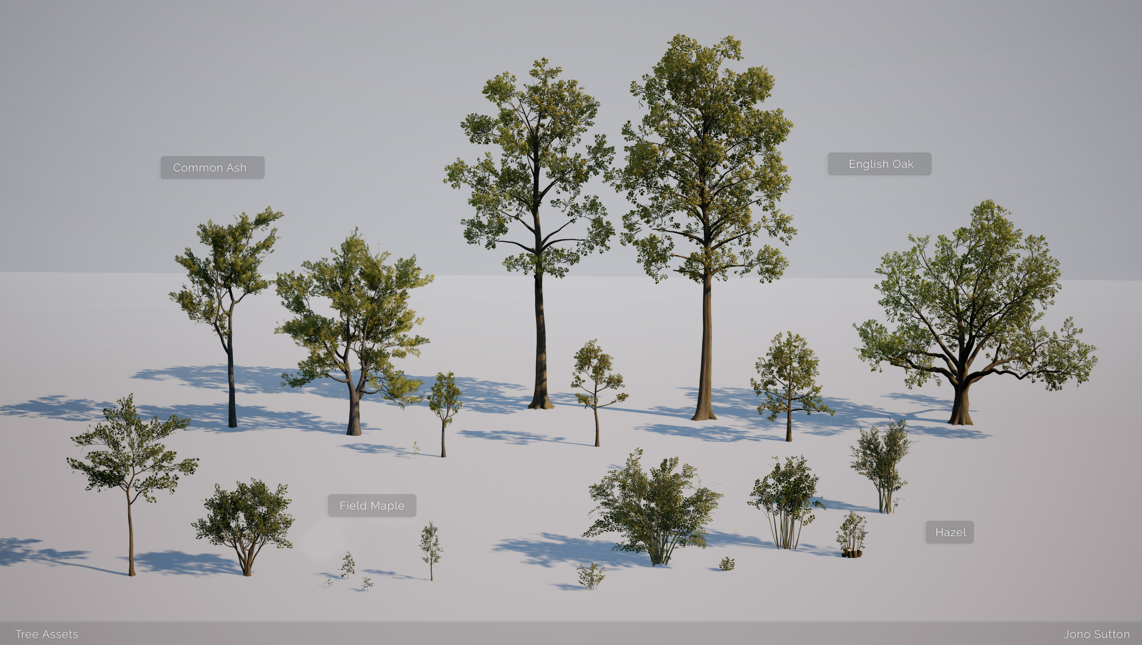 I built a selection of tree species common to UK forests each with a few variations.
