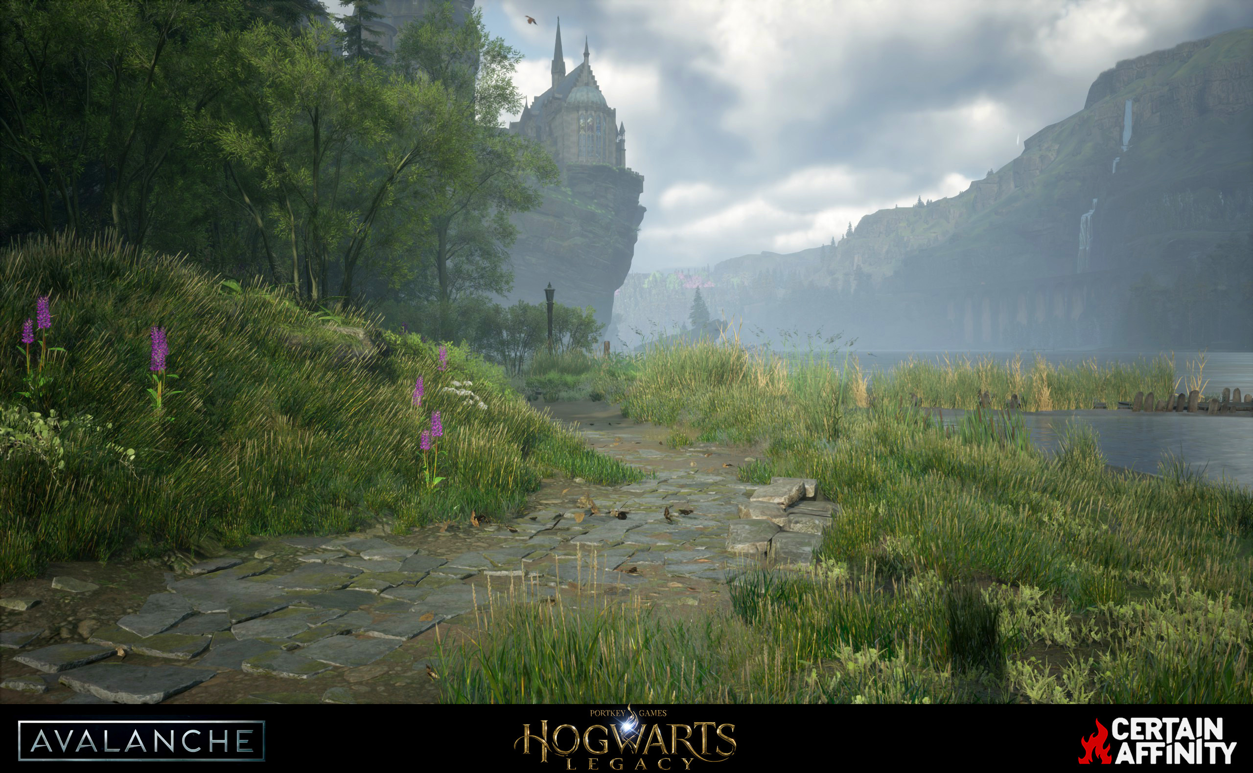 Turn around to see Hogwarts castle. I did all the set dressing, terrain painting, and foliage placement in this area.