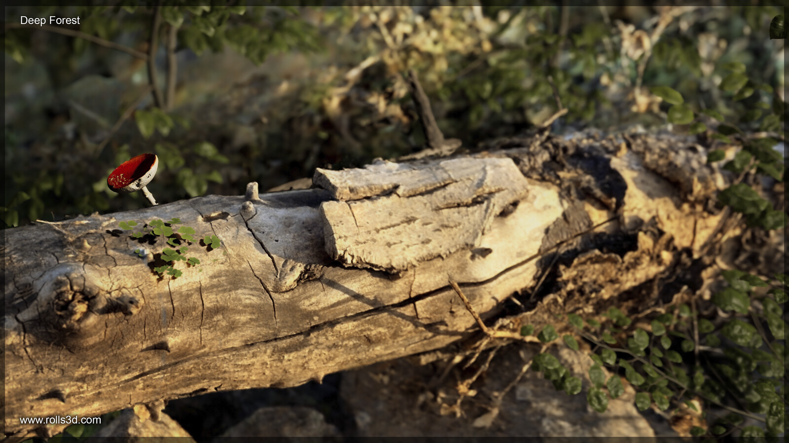 3D Deep Forest
Mixture between different photogrammetry techniques
Rendered with Unreal Engine
By Rolls3D