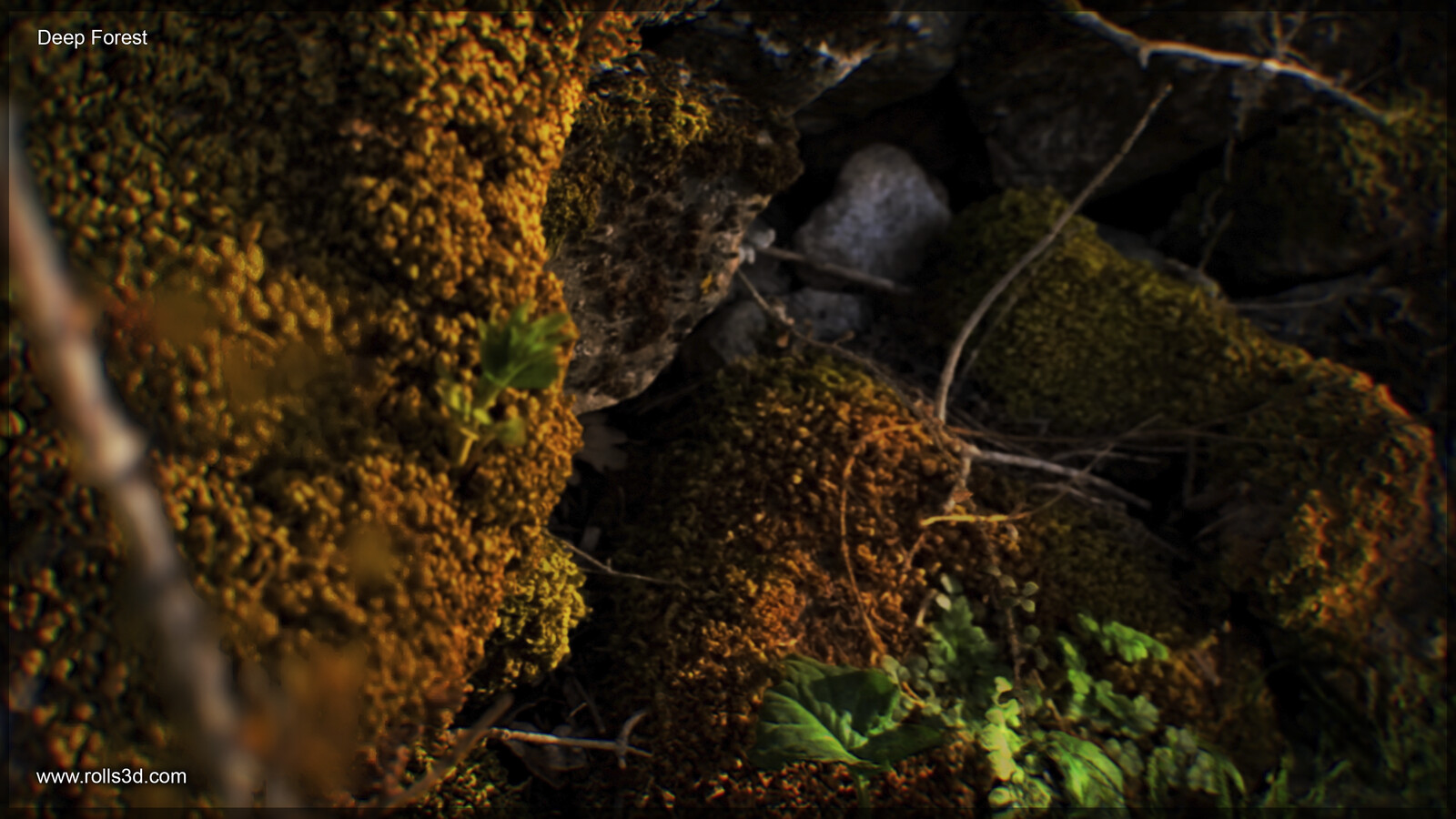 3D Deep Forest
Mixture between different photogrammetry techniques
Rendered with Unreal Engine
By Rolls3D