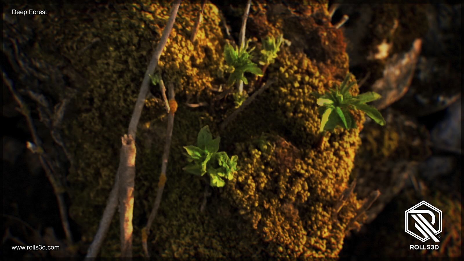 3D Deep Forest
Mixture between different photogrammetry techniques
Rendered with Unreal Engine
By Rolls3D