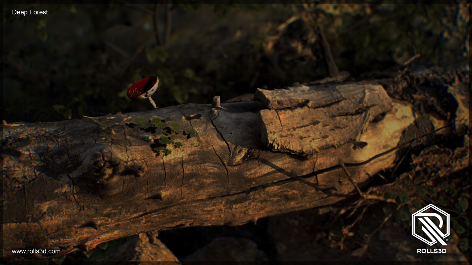 3D Deep Forest
Mixture between different photogrammetry techniques
Rendered with Unreal Engine
By Rolls3D
