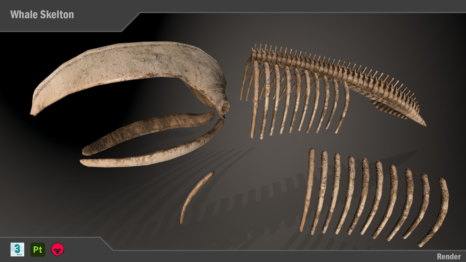 Version 1: Multiple bone props 