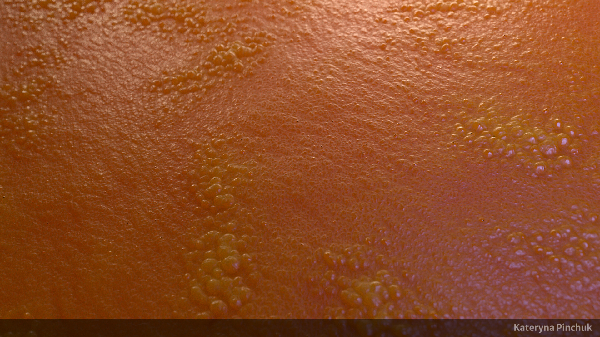 Kateryna Pinchuk - Frog Skin - Substance Designer