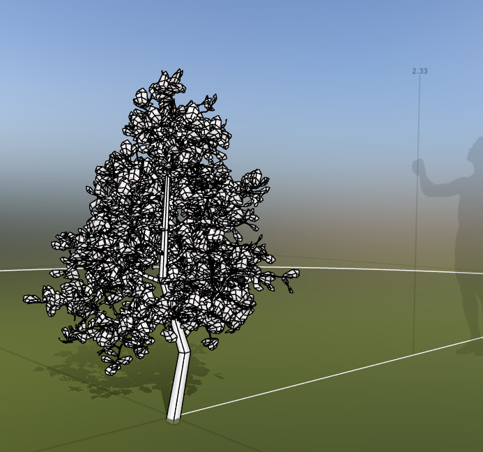 Wireframe
