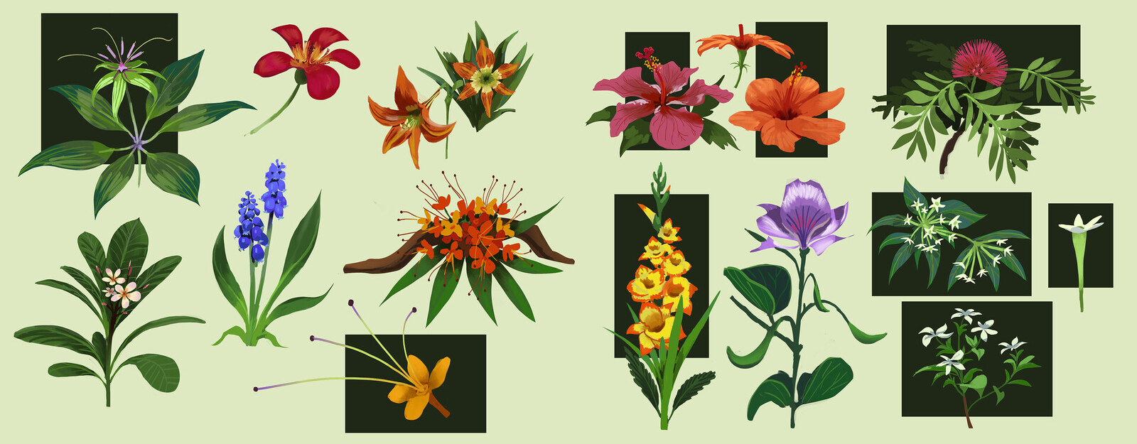 Plants 1