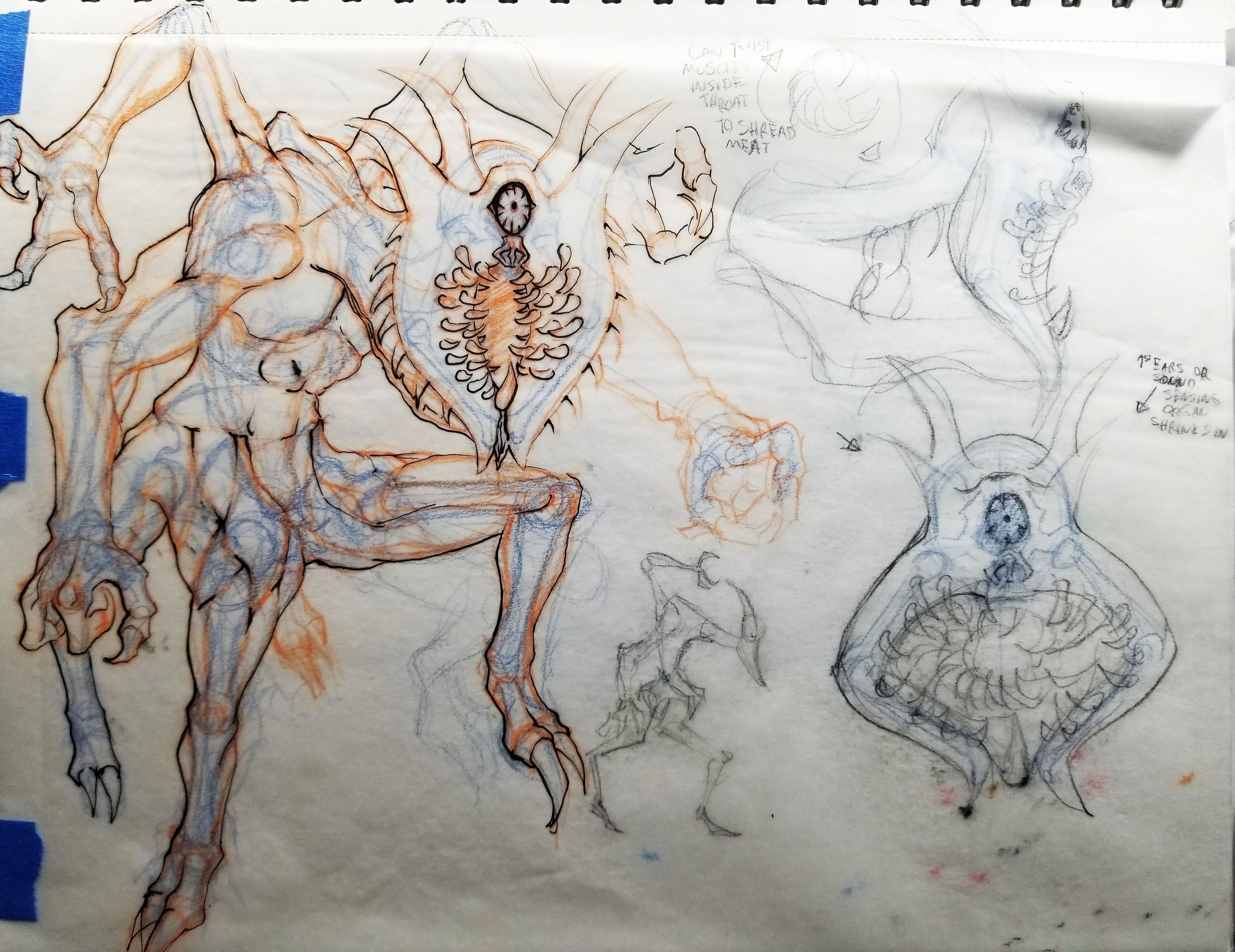 Original sketch of the Mist Centaur. Here the ideas became more solidified, and I designed the skeletal and muscular system of this beast.
