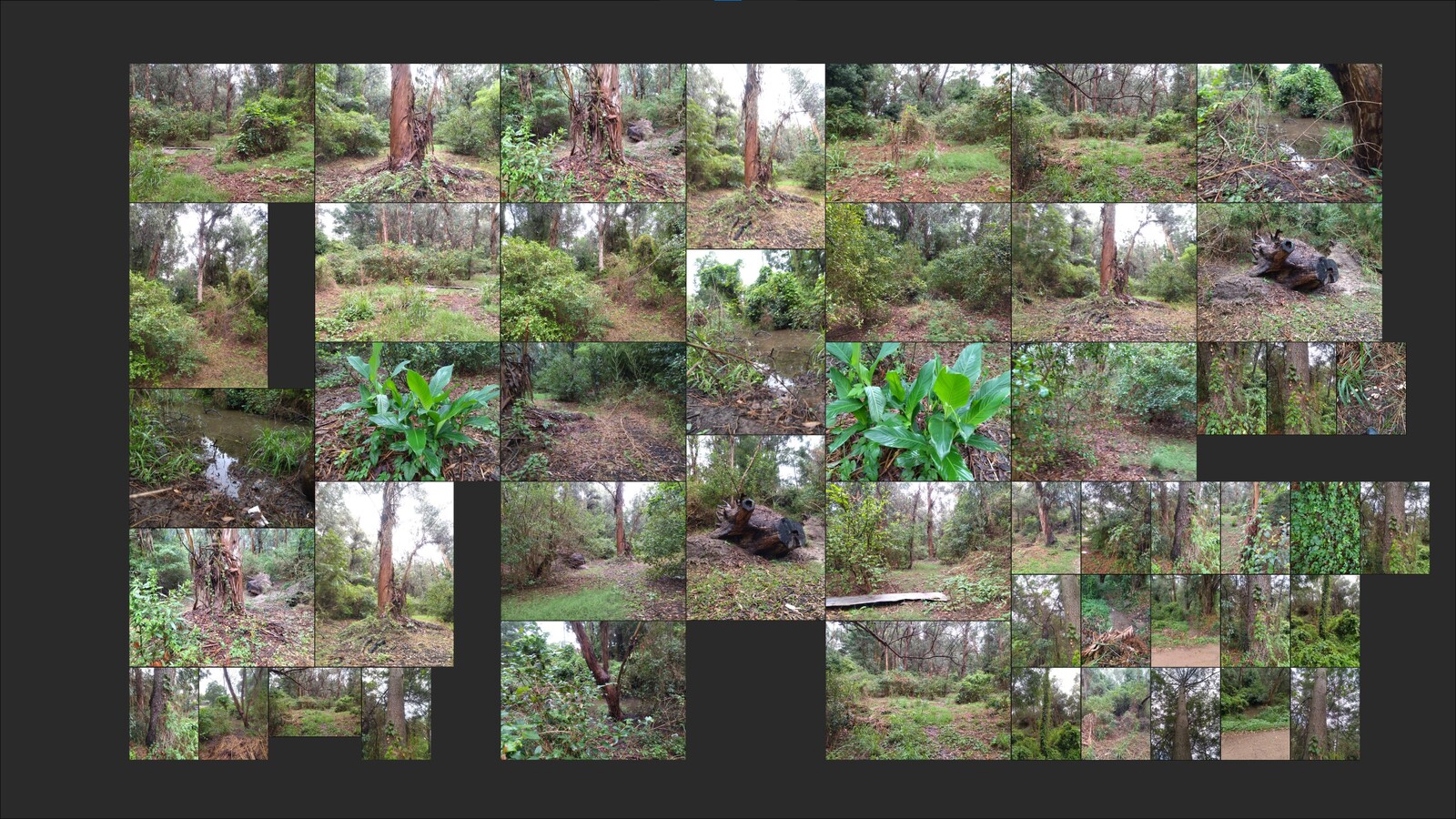 Personal environment mood board.