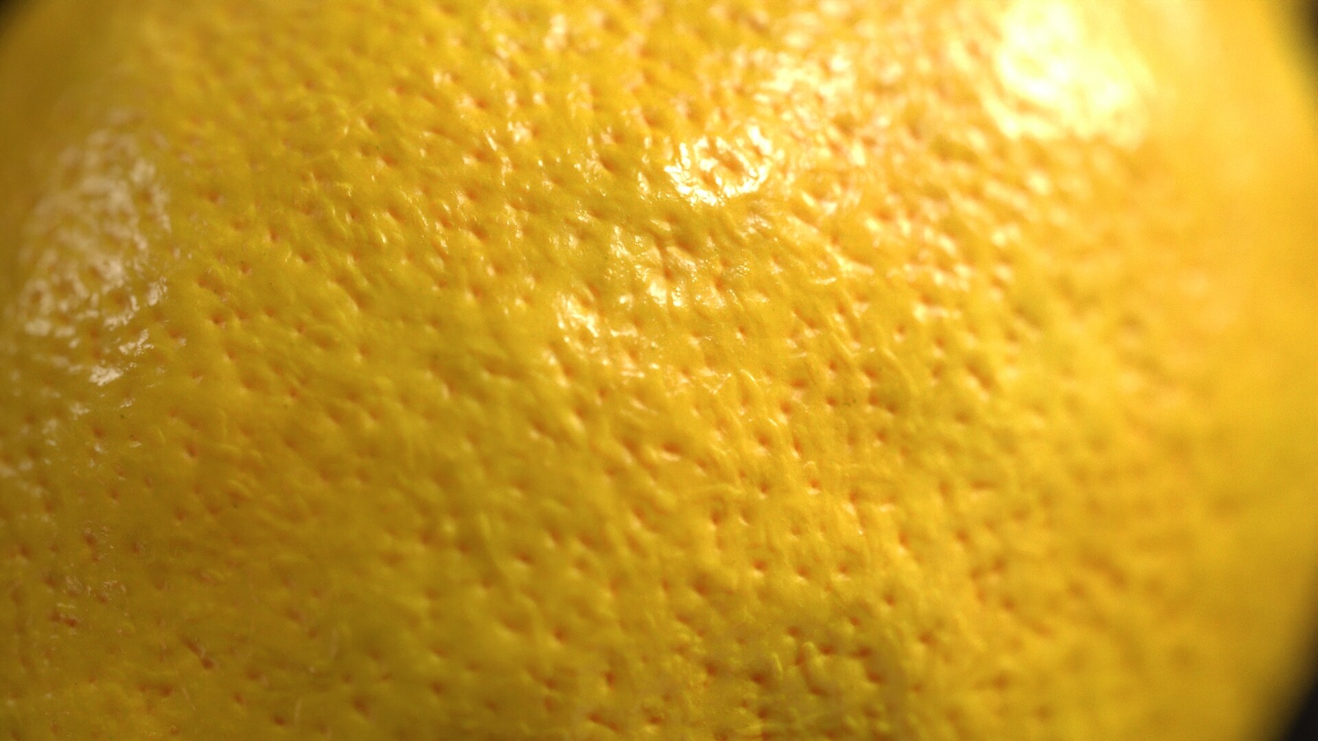 Food Texture Example 4