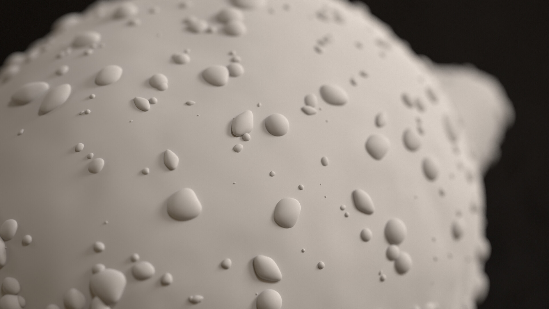 Food Texture Example 8