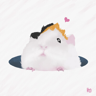 Guinea Pig