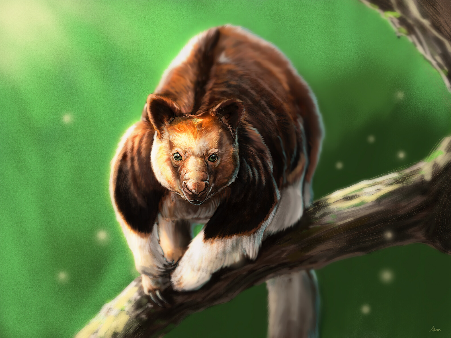alandodrawing-tree-kangaroo