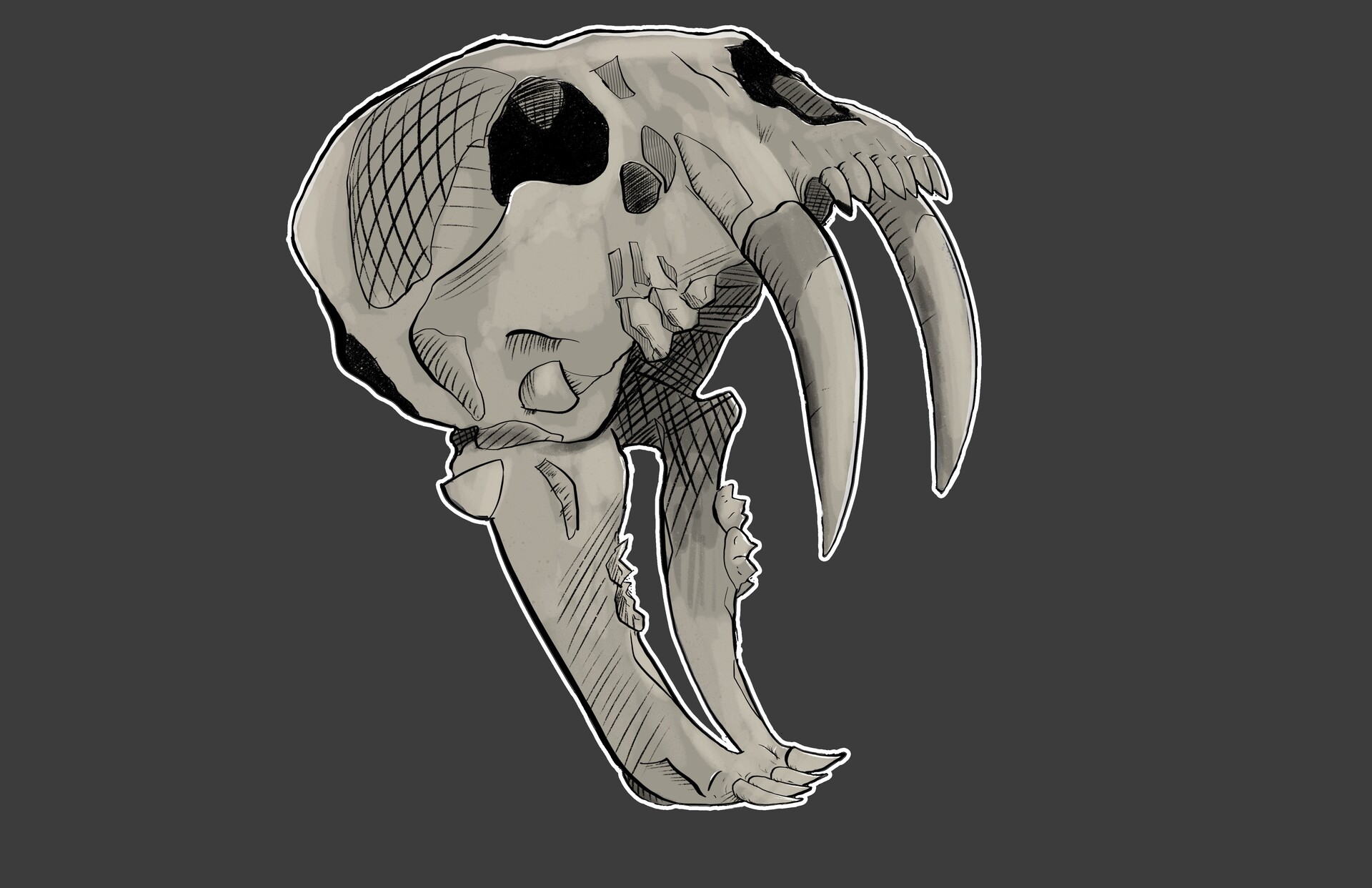 Saber Tooth Tiger Skull Tattoo