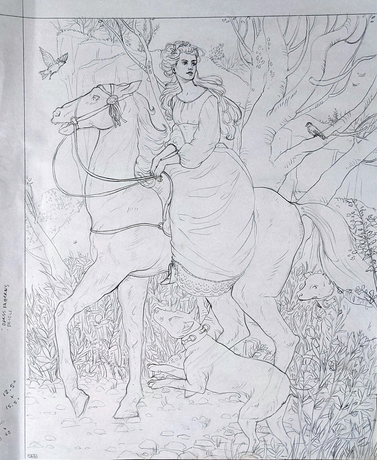 Sketch for Susan
