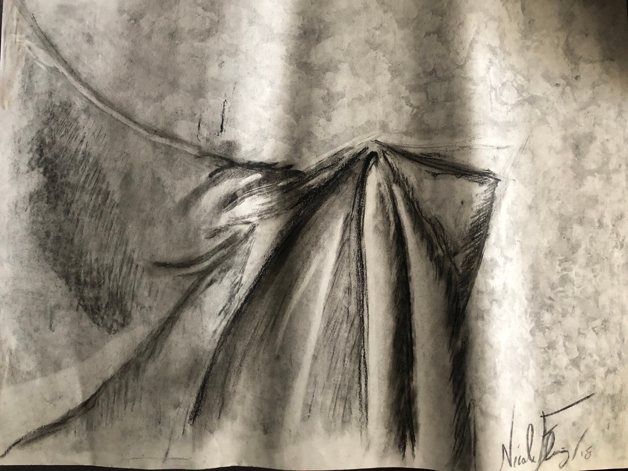 Cloth on Branch