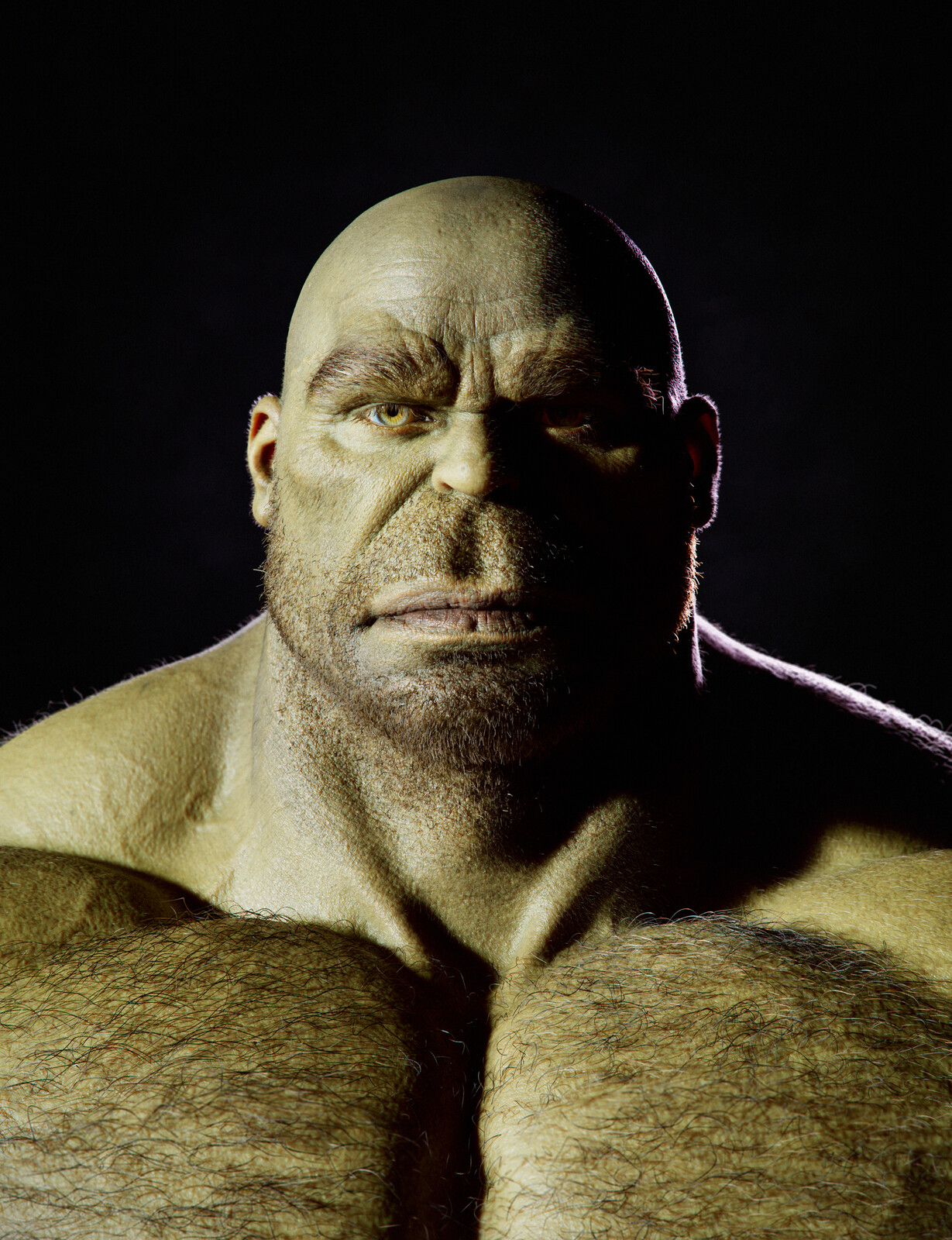 Renders from Maya and Arnold
