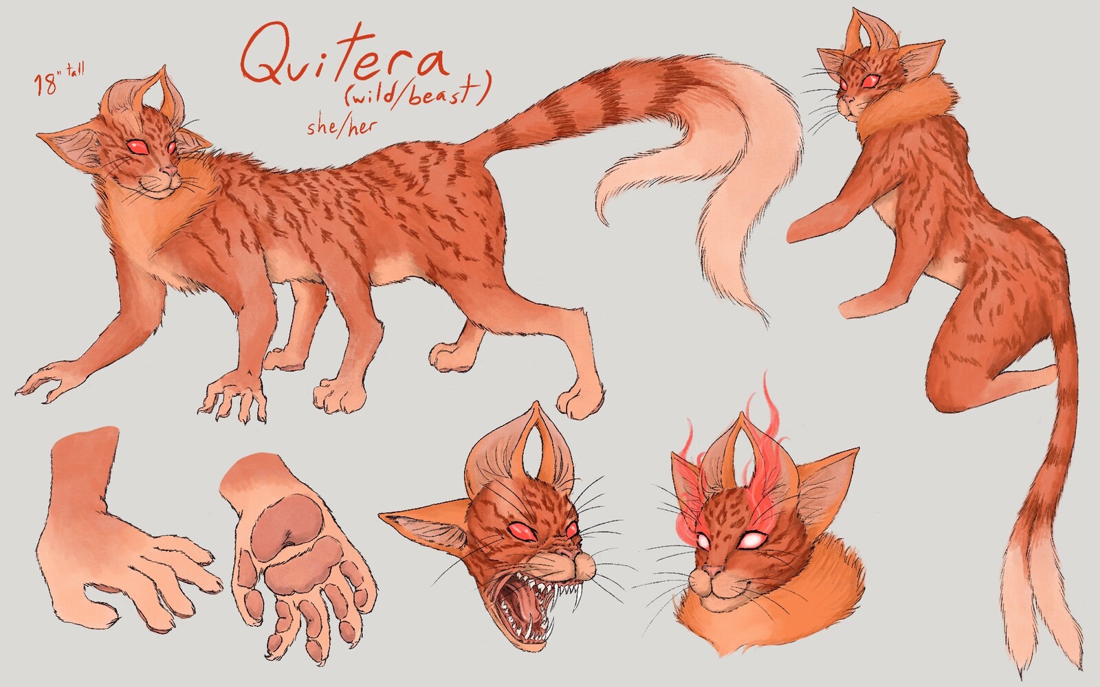 Quitera - the Beast
