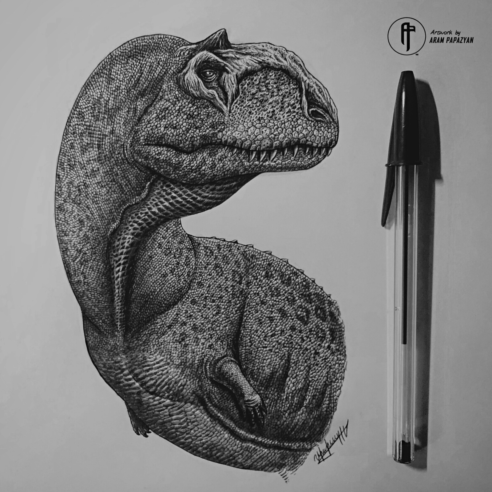 Ballpoint pen drawing